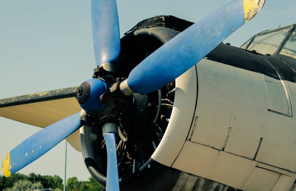 pexels photo 16329634.jpeg